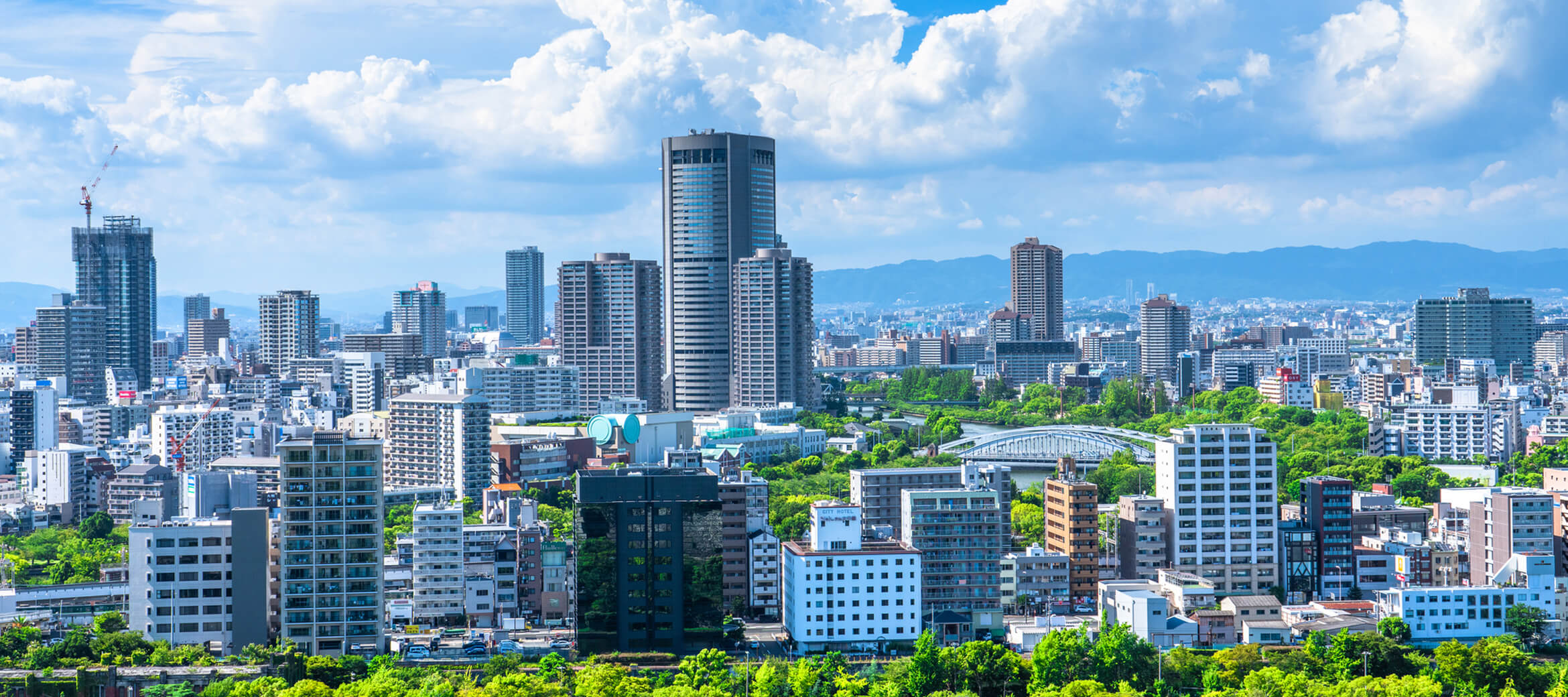 わたしたちについて